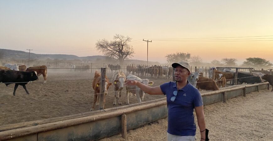 Maruleng Farms, Gabane Western & Sandveld